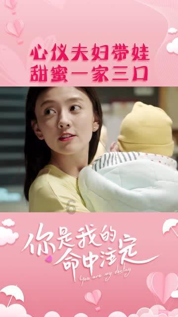 臭娘娘是不是群居昆虫？